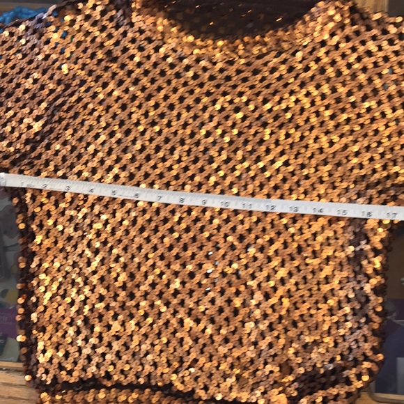 Bronze Sequined Mesh Top - Picture 5 of 6